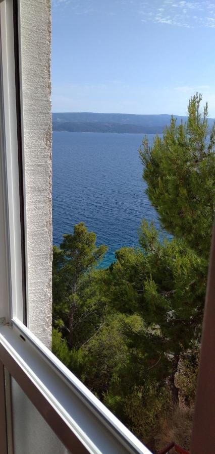 Vucak Apartman